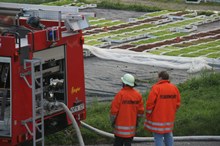 freiwillige Feuerwehr Reichenau