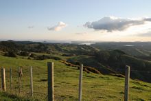 Lions Lookout