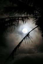 fullmoon