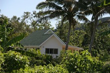 Hibiscus Homestead