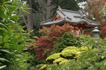 Japanischer Teegarten