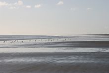 Ninety Mile Beach