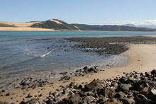 Hokianga Harbour