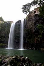 Whangarei Waterfall