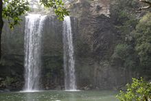 Whangarei Waterfall