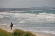 Strand an der Waipu Cove