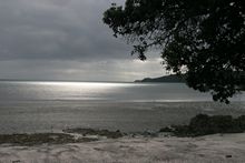 Coromandel Harbour