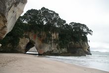 Cathedral Cove