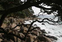 Cathedral Cove