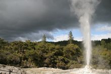 Lady Knox Geysir