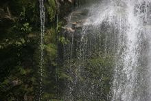 Wanui Fall