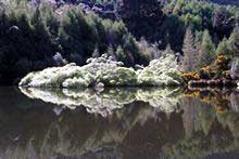 Lake at Gabriel's Gully