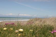 Leithfield Beach