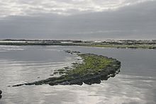 Kaikoura