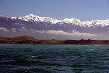 Kailkoura