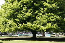 Botanischer Garten Christchurch