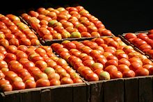 Tomaten aus den Gärten am Lake Inle