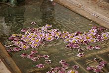 Buddha's footprint