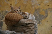 Platz ist auf dem kleinsten Sack