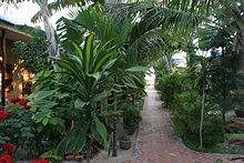 Hoang Kim golden Bungalows