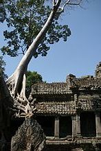 Ta Prohm