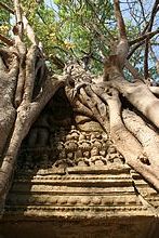 Ta Prohm