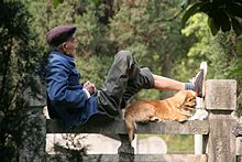 Entspannung im Park