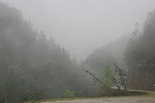 durch die Wolken ins Tal