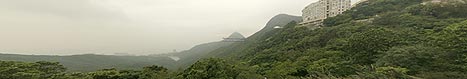 auf dem Victoria Peak