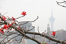 Macau Tower