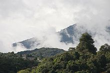 Cameron Highlands