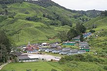 Siedlung auf der Plantage